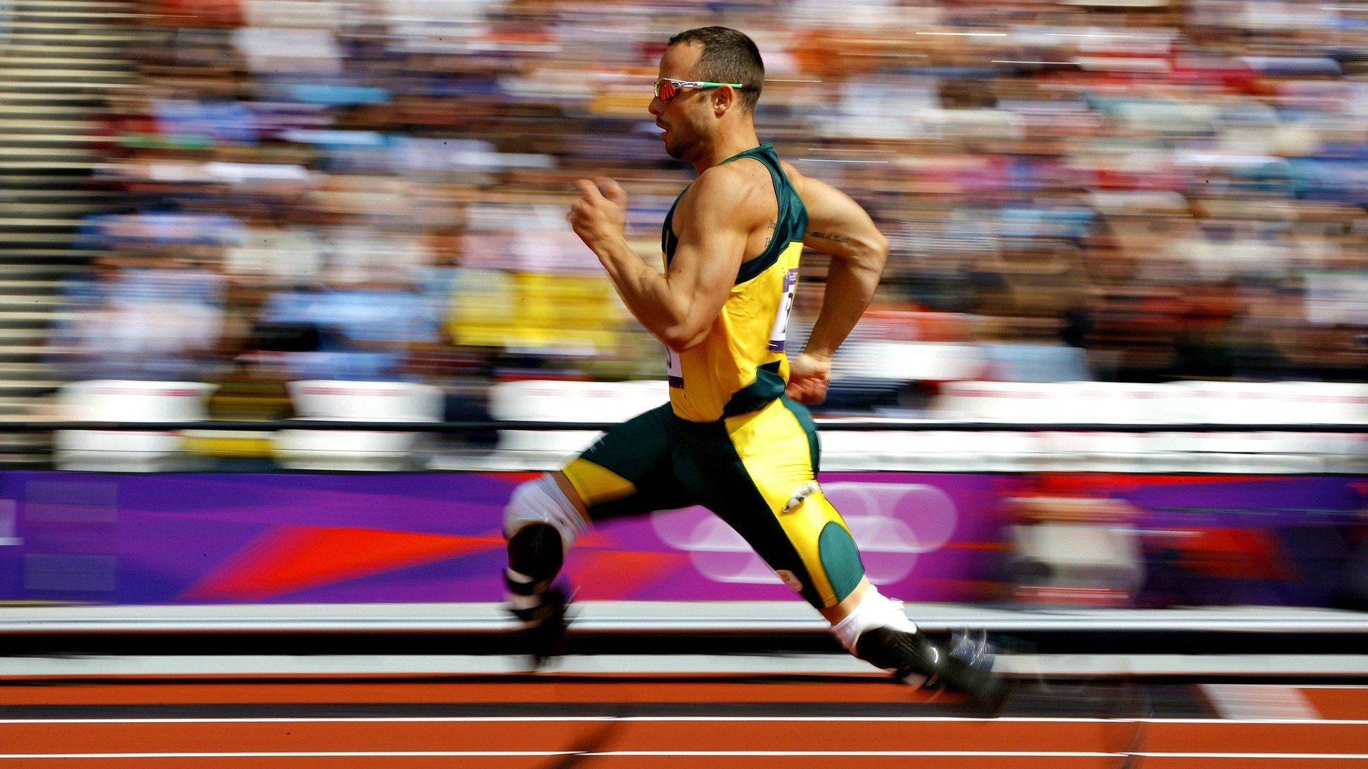 “荣耀瞬间:冠军的感人时刻”,荣耀历史冠军