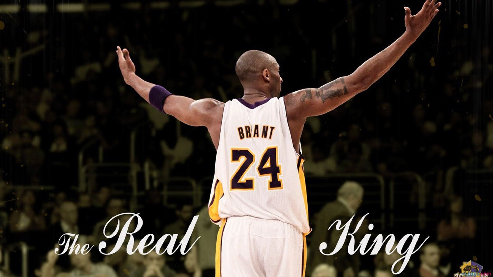 深度解析游泳选手转项成功，游泳转艺人